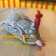 Nudibranch Seaslug Refrigerator Magnet Psychedelic batwing M-04