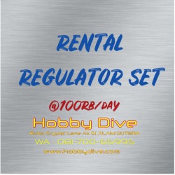 RENTAL Regulator Set per day HD-REG