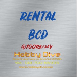 RENTAL Regulator Set per day