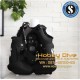 SCUBAPRO BCD Hydros Pro Lady Scuba Diving