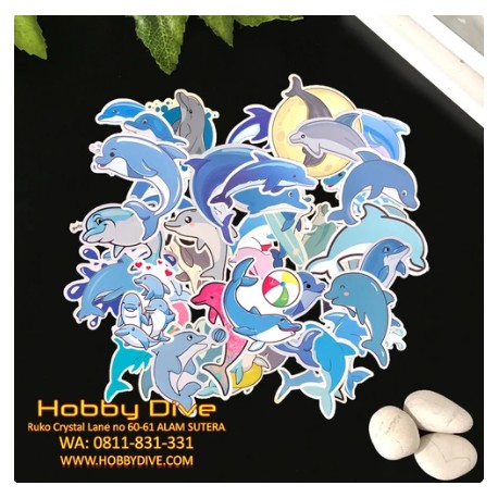 Dolphin Sticker Collection HD-404