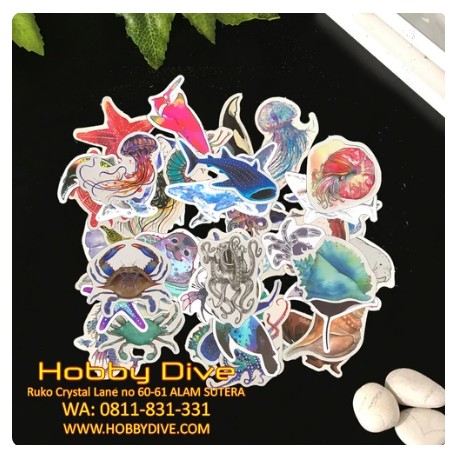 Ocean Animal Sticker Collection Scuba Diving HD-407