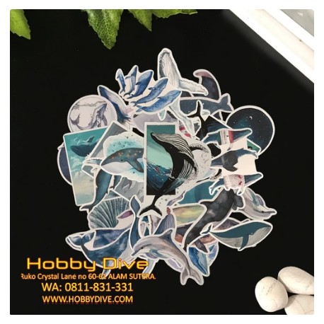 Whale Sticker Collection Scrapbooking Scuba Diving HD- 414