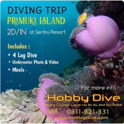 PRAMUKA ISLAND DIVING TRIP 2D/1N @Seribu Resort TRIP-01