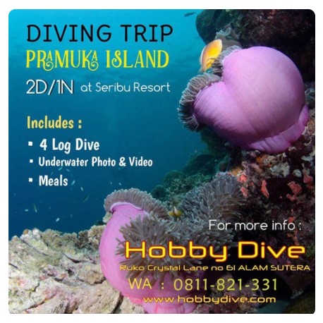 PRAMUKA ISLAND DIVING TRIP 2D/1N @Seribu Resort TRIP-01