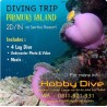 PRAMUKA ISLAND DIVING TRIP 2D/1N @Seribu Resort TRIP-01